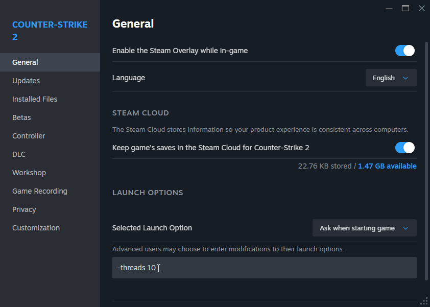 CS2 Launch Options